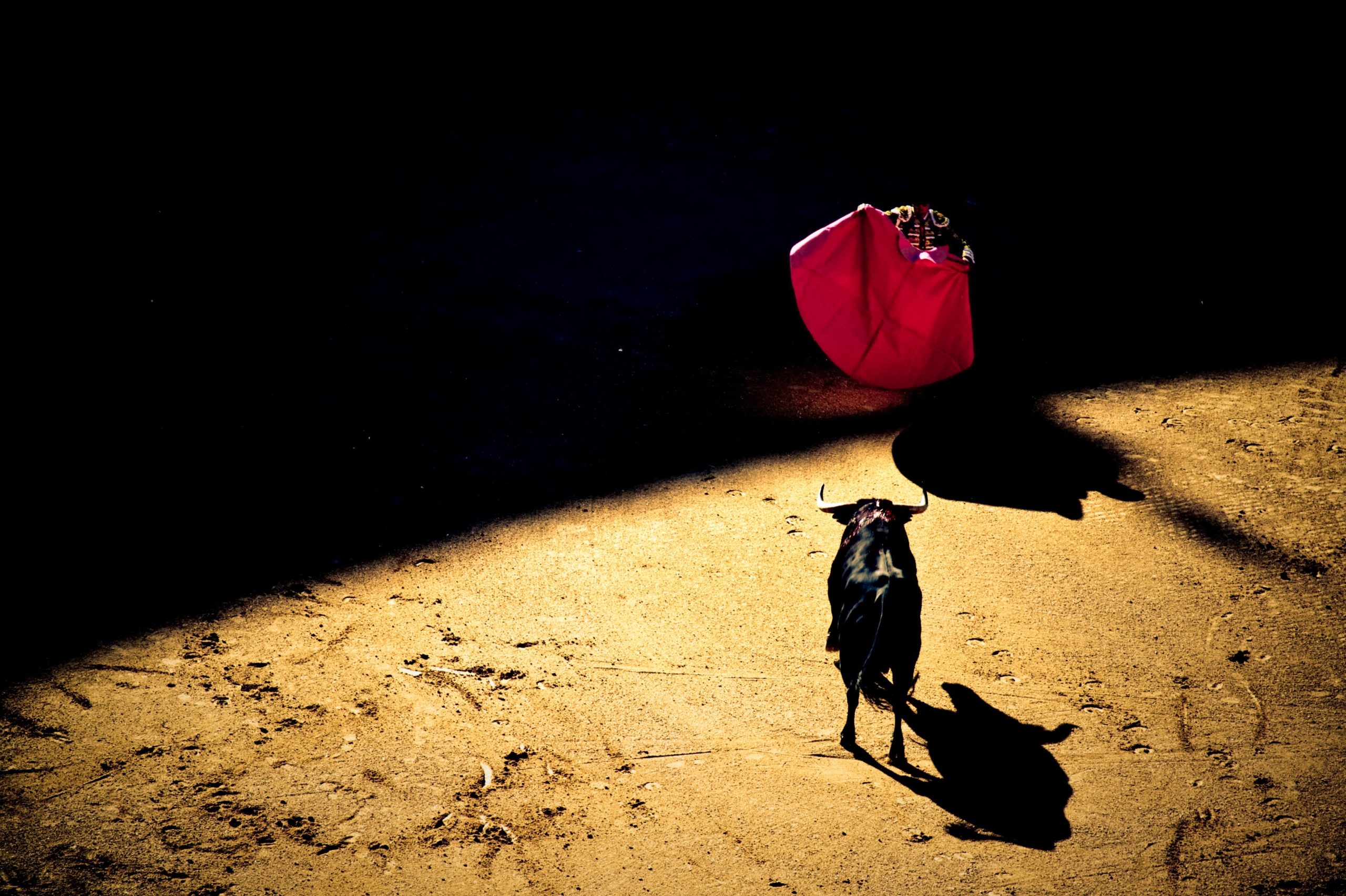 giovanni-calia-ezvIERAtqZc-unsplash (1) giovanni-calia-ezvIERAtqZc-unsplash (1)